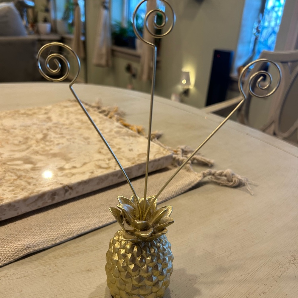 Pineapple picture holder